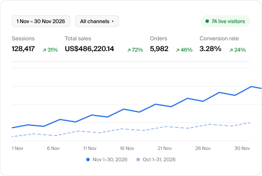 Shopify analytics dashboard